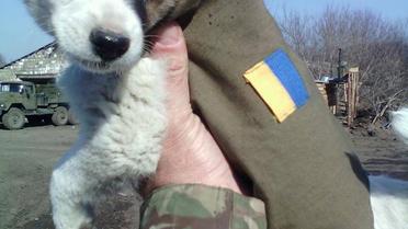Наименьшие боевые побратимы / © facebook.com/theministryofdefence.ua