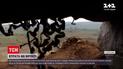 Новости с фронта: неподалеку Горловки от осколочных ранений погиб боец с Волыни