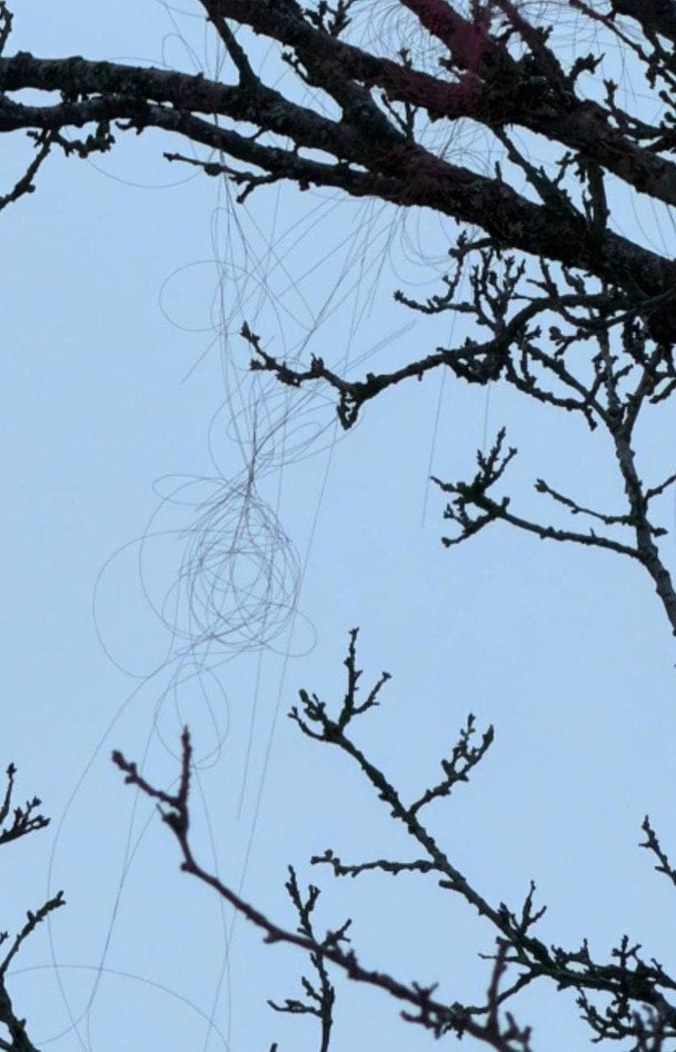 FPV-дрони на оптоволокні не використовують радіоканал для управління, тому їх неможливо виявити класичними засобами