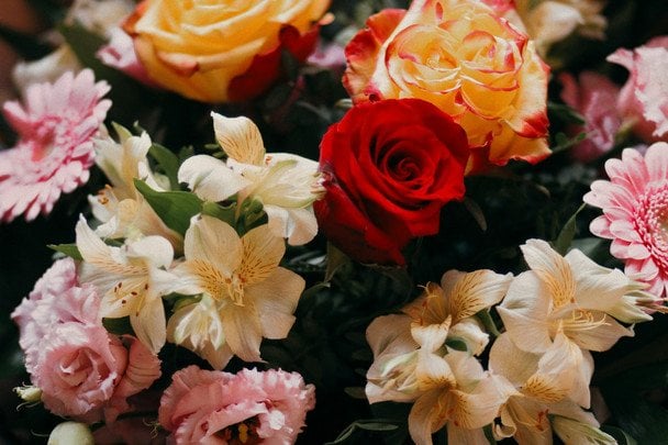 День ангела 26 грудня — душевні привітання в прозі / © unsplash.com