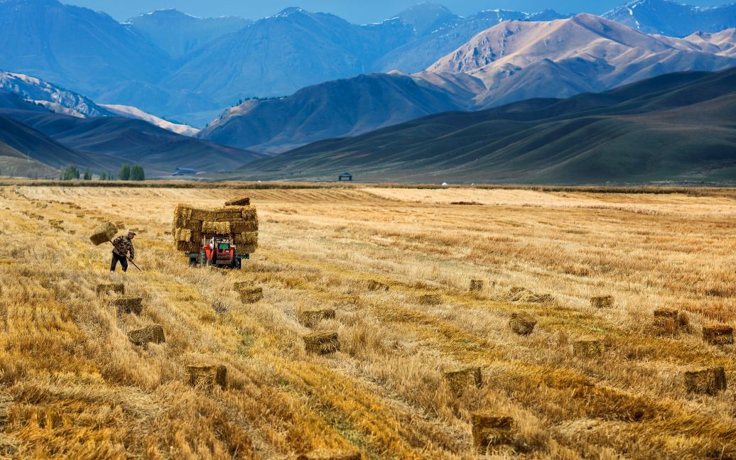 Фермер работает в поле в Синьцзян-Уйгурском автономном районе Китая. / © Reuters