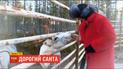 Дорога до Санти: ТСН з'ясувала, коли вигідніше летіти до Лапландії