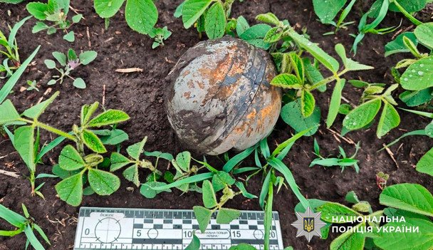 На Полтавщине после ночной атаки обнаружили кассетные боеприпасы (фото)