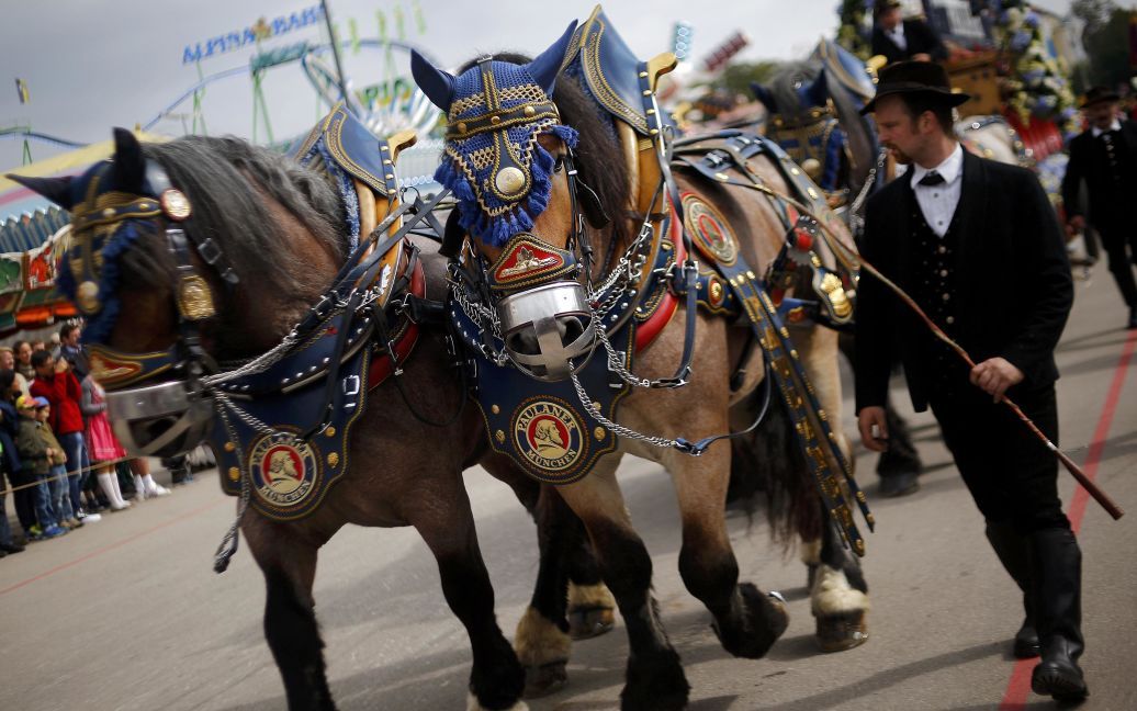 Мужчина ведет украшенных лошадей на фестивале Окторберфест в Мюнхене. Фестиваль продлится две недели и, по прогнозам, соберет около 6 млн посетителей. / © Reuters