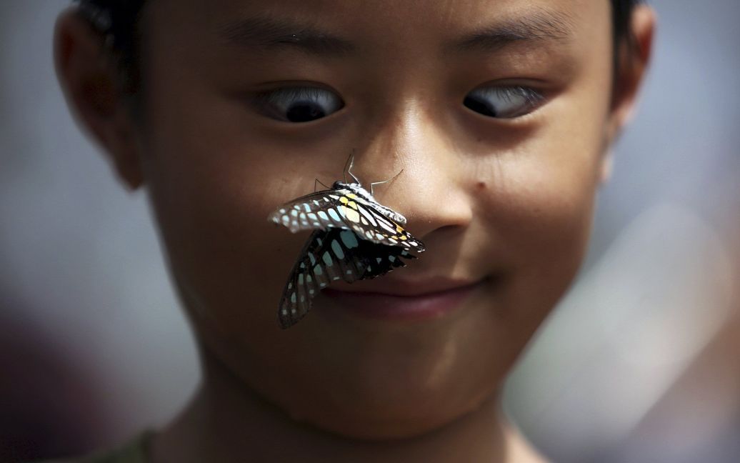 Мальчик увлеченно смотрит, как бабочка садится ему на нос во время выставки бабочек в парке в городе Куньмин, Китай. / © Reuters