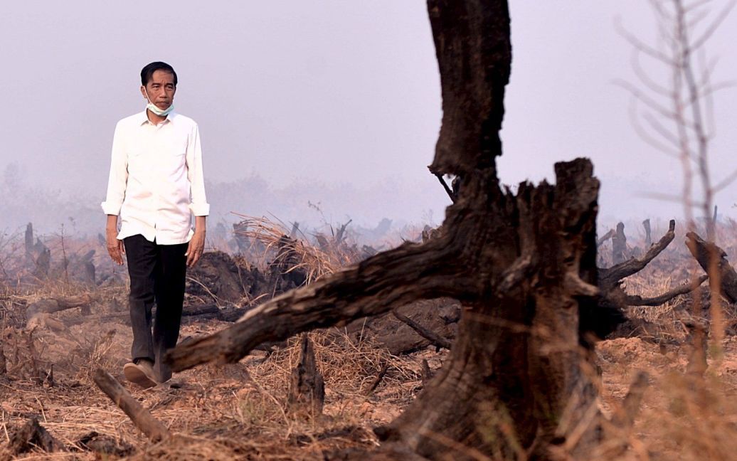 Президент Индонезии Джоко Видодо осматривает последствия недавнего лесного пожара. Индонезия начала расследование против более чем 200 компаний, которые подозреваются в масштабном пожаре, длившегося более месяца. Смог от огня достиг соседних Сингапура и Малайзии. / © Reuters