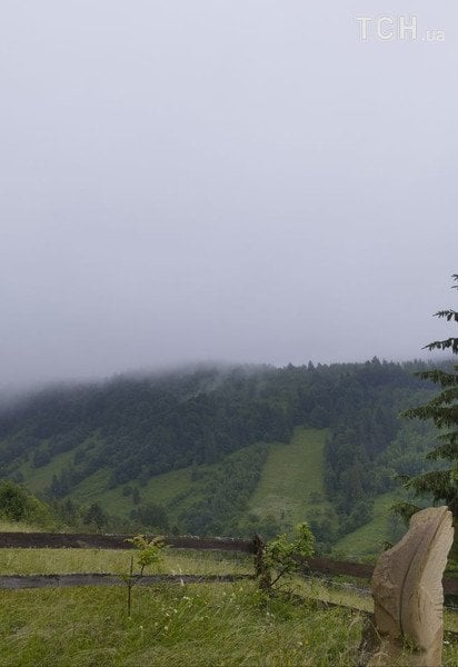 Карпати