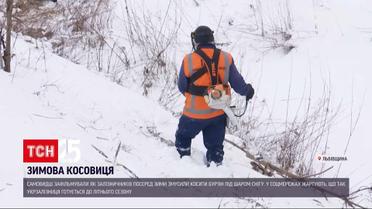 На Закарпатті залізничників змусили обрізати чагарники вздовж колій попри сніг | Новини України