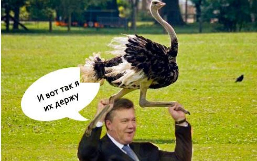 Юзеры Сети высмеивают Януковича / © facebook.com/kobzev.anton.9