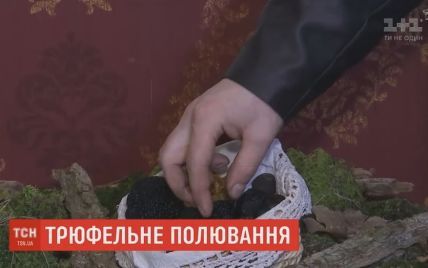 Делікатес по-українськи: трюфельні гриби почали потрапляти з Поділля до ресторанів світу