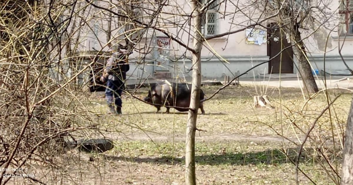 Фото: Киев без цензуры/telegram.org