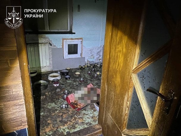 Тварин буквально катували