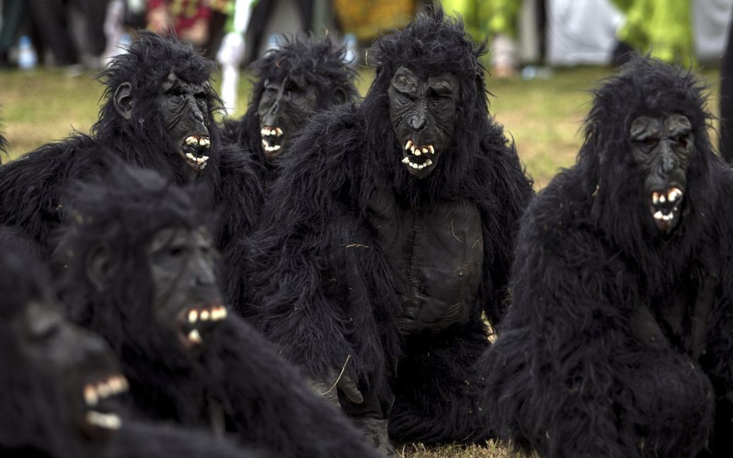 Люди в Руанде оделись в костюмы горилл, чтобы привлечь внимание к проблеме исчезновения этого вида животных. Подобные мероприятия в Руанде проводят ежегодно / © Reuters