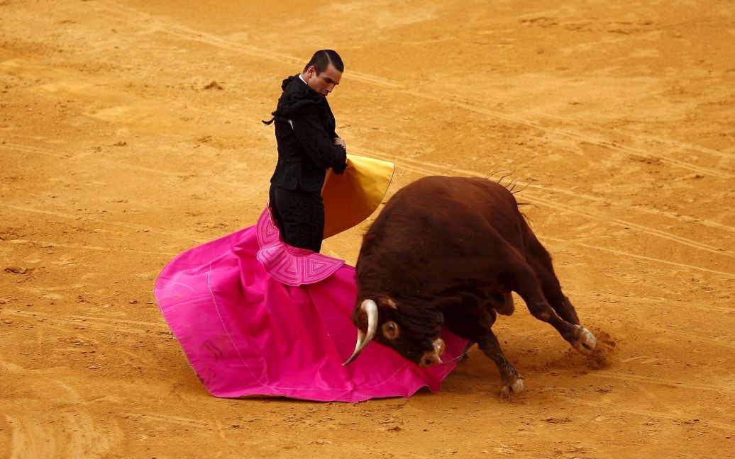 Испанский матадор Хосе Мария Мансанарес выполняет пас на быка во время корриды / © Reuters