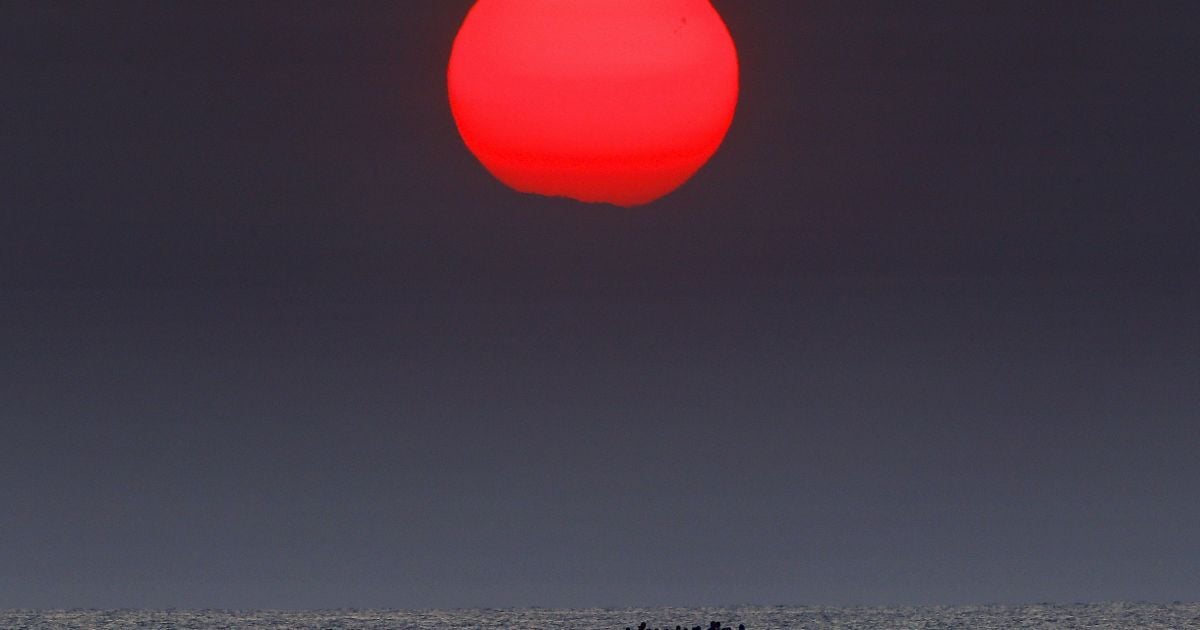 Фото мигрантов шокировали мир / © Reuters