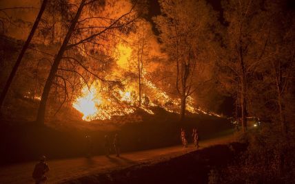 Видео экстремального бегства от пожаров в Калифорнии шокировало юзеров Сети