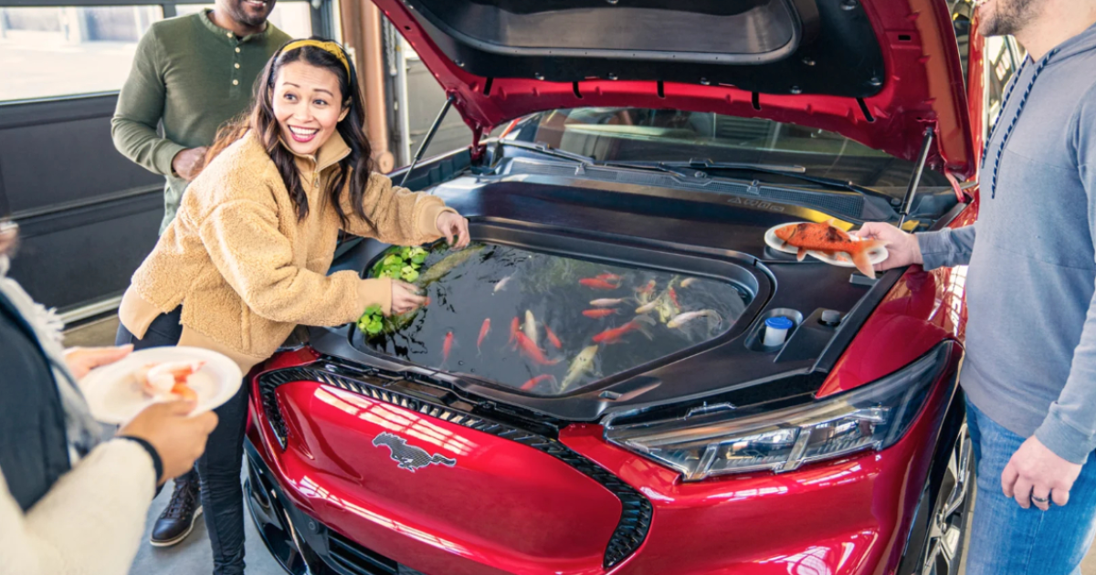 Меми Mach-E_4 / © jalopnik.com