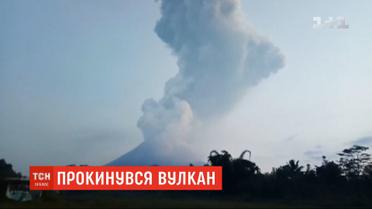 В Индонезии проснулся самый активный вулкан страны "Мерапи"