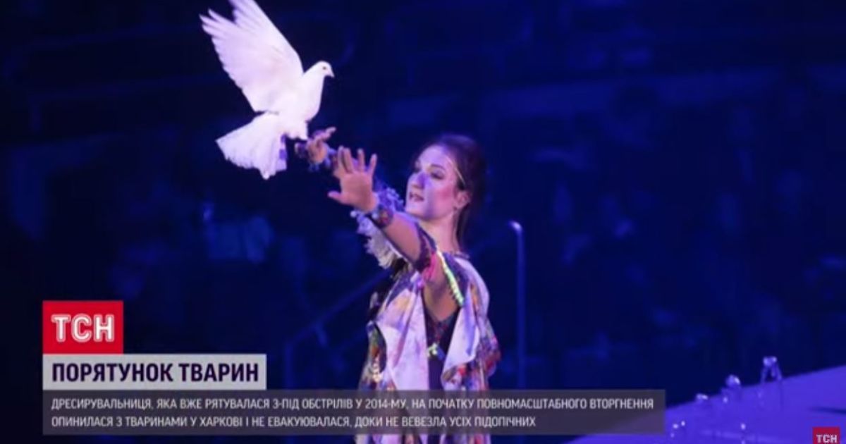 Дресирувальниця зоставалася у Харкові під обстрілами, бо не могла залишити своїх підопічних