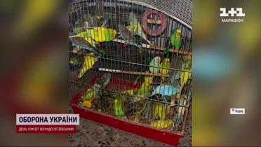 В Ровно горел рынок! Пожарные спасли пушистиков с горящего базара!