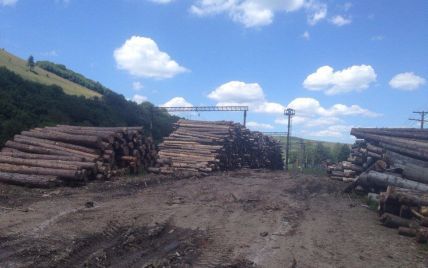 На Киевщине сельчане заблокировали дорогу из-за массовой вырубки леса