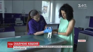 В Тернополе зоозащитники требуют наказать мужчину, который покалечил котенка