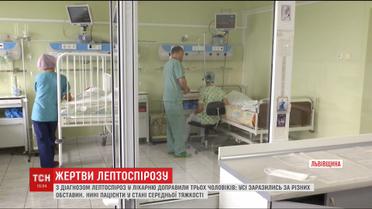 Инфекция бушует на Львовщине. Из-за лептоспироза в больнице уже трое мужчин