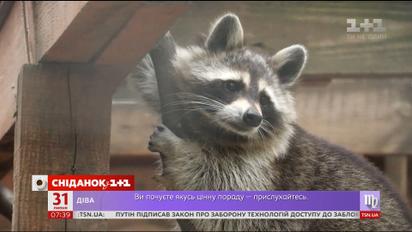 Мій путівник. Харків - рекорди міста і ландшафтний еко-парк