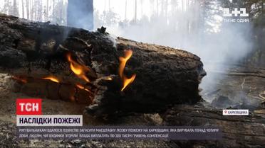 Внаслідок масштабної пожежі у Харківській області вигоріли 22 хати