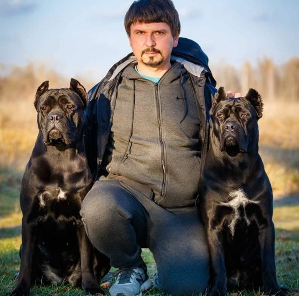Фото: Cane Corso Kennel "Big Invincible Star" FCI