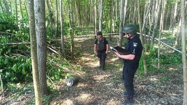 У лісі на Київщині виявлено нерозірвану бойову частину "Шахеда"