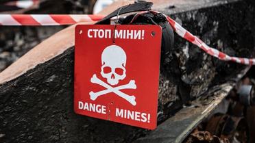 Подчиненные МВД структуры уничтожили уже до полумиллиона мин