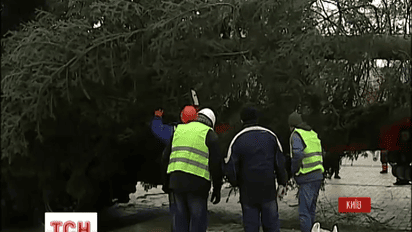 В Киев прибыла главная елка страны