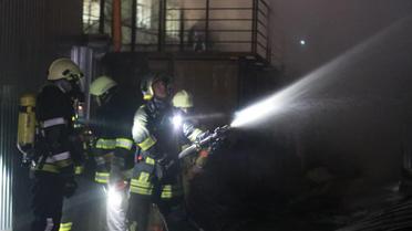 пожежа у києві_12 / © Управление ГСЧС Киева
