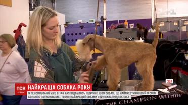 Самый престижный в мире конкурс четвероногих провели в Пенсильвании
