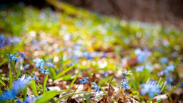 Гороскоп на 26 марта для всех знаков Зодиака Гороскоп на 26 марта для всех знаков Зодиака