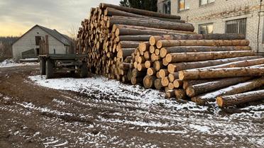 В’язень колонії у Дніпрі "продав" на мільйон гривень вигадані ним дрова: ошуканих понад сотню