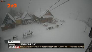 Снежный май: на Западной Украине внезапно пошел снег