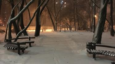 сніг у києві 02.12_1 / © ТСН.ua