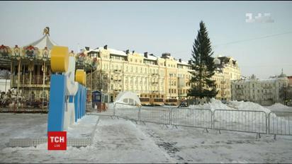 Елку-рекордсменку из Прикарпатья уже установили в столице