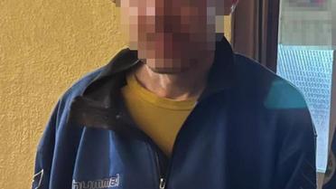Викинув із 7 поверху кішку та чотирьох кошенят: експертиза довела, що винуватець не усвідомлював свої дії