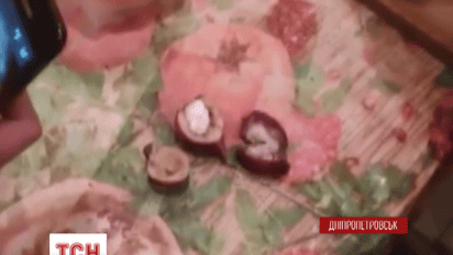 Днепропетровским зэкам наркотики передавали в редисе