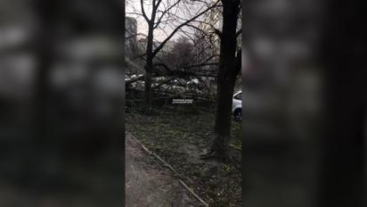 На Киев надвигается гроза, ветер срывает фасады зданий и вырывает деревья