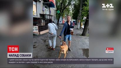 В Днепре собака напала на прохожего во время выгула | Новости Украины