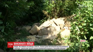 Дніпряни потерпають від нестерпного смороду через сотні тухлих яєць у посадці