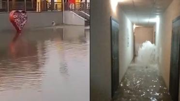 Авто под водой и "гейзеры" в домах: Ирпень и Бучу затопило из-за сильного ливня (фото, видео)