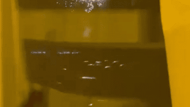 Скриншот с видео