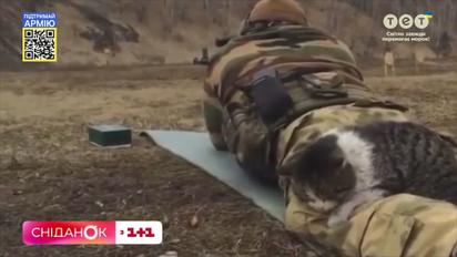 Як наші військові боронять Україну разом із хвостатими побратимами