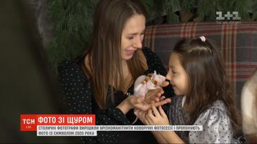 Столичные фотографы предлагают делать фото с символом нового года - крысой