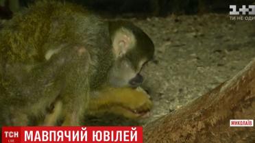 Обезьяна-долгожитель из Николаева претендует на мировой рекорд